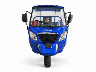ZELMO canopy body blue front view