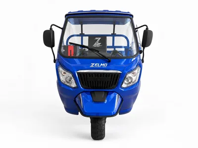 ZELMO canopy body blue front view