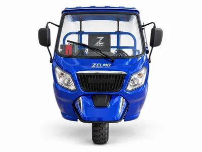ZELMO canopy body blue front view
