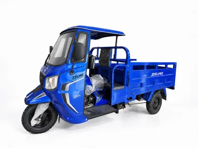 ZELMO canopy body blue front three-quarter view