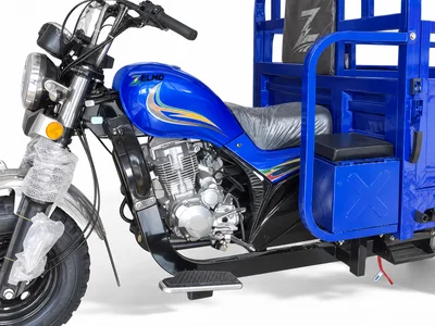 ZELMO body awaiting classification blue detail view