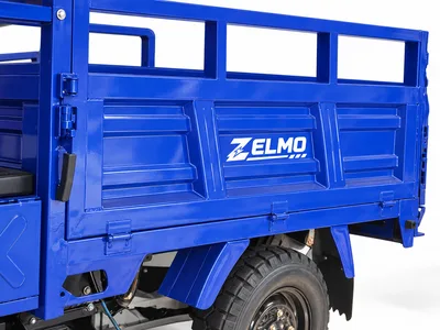 ZELMO body awaiting classification blue detail view